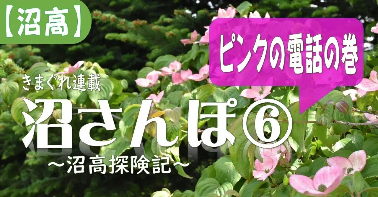 沼高】沼さんぽ⑥～ピンクの電話の巻～｜岩手県立沼宮内高等学校