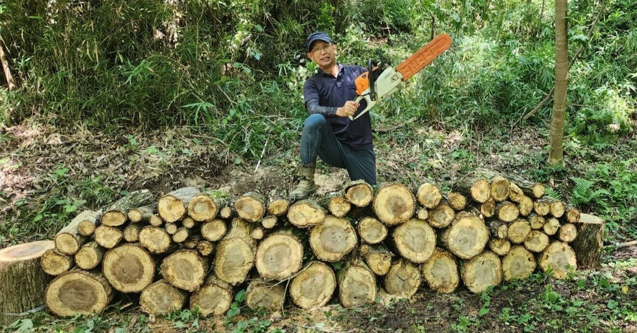 立枯れ木の伐採｜川崎市黒川青少年野外活動センター