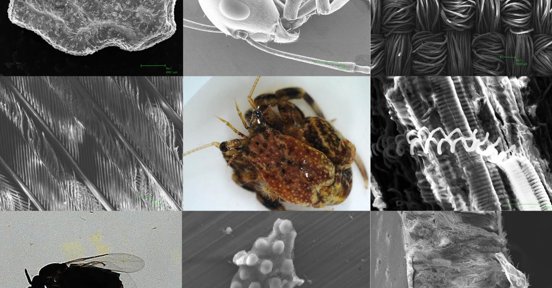 自由に研究ラボ2023】子供たちが気になる試料を科学館に持ち込んで探究