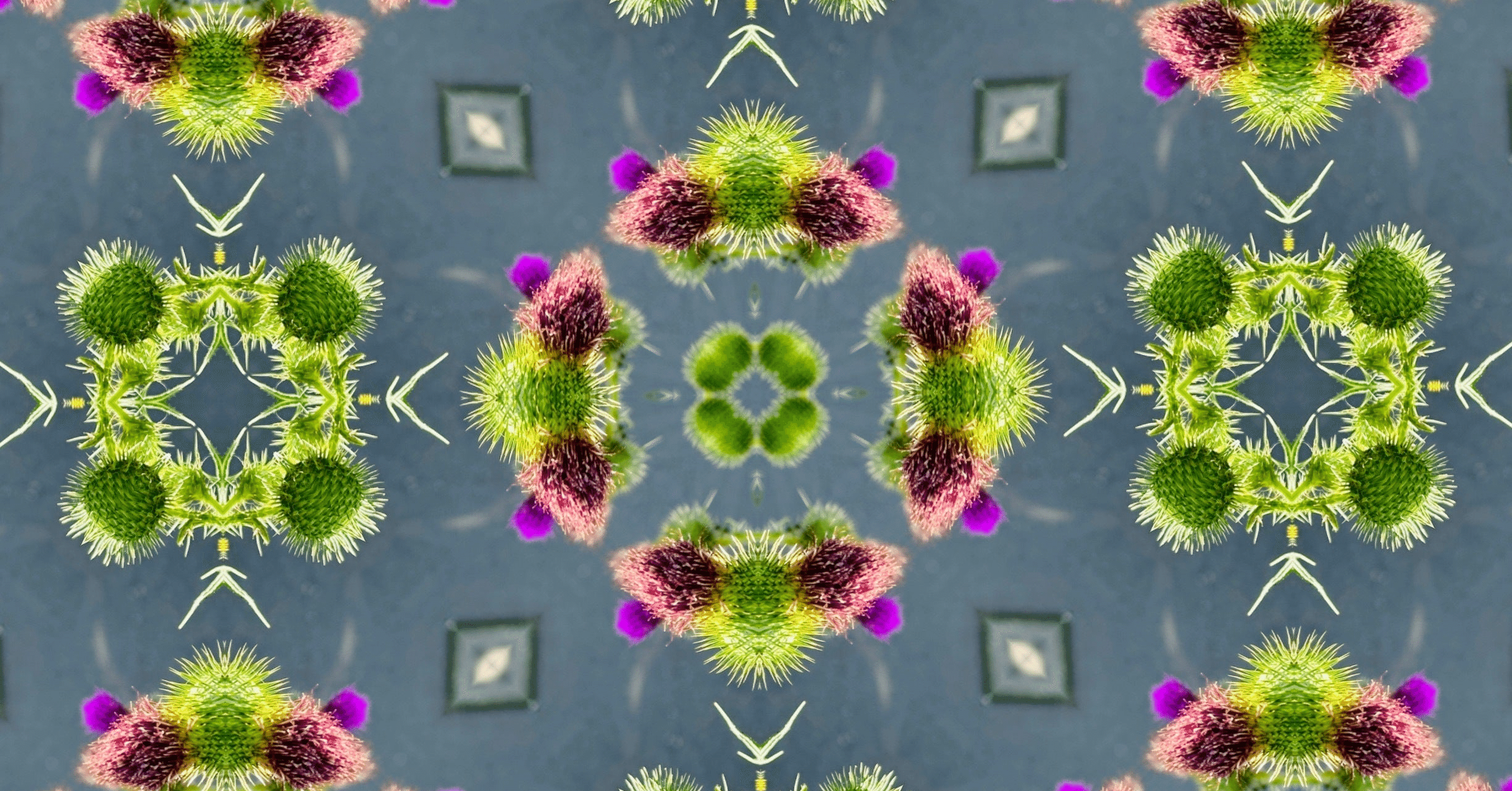 3201a111d5a86f27c061e929340350