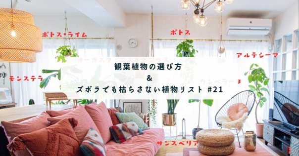 人気特価激安 断捨離に出会って13年。今でも断捨離し続ける私にとっての断捨離 アウター