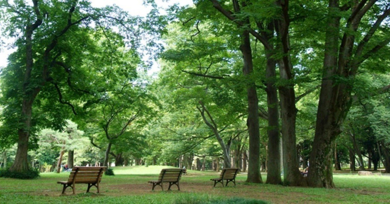 代々木公園でこっそりフリーマーケットをした話 こころ Note 代々木公園でこっそりフリーマーケットをした話 こころ Note