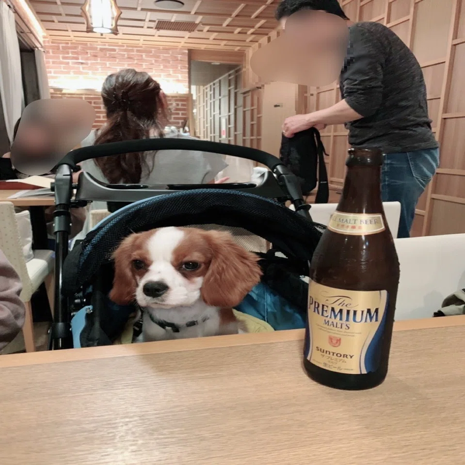 ドキーズアイランド 千葉県八街市 Aya Note