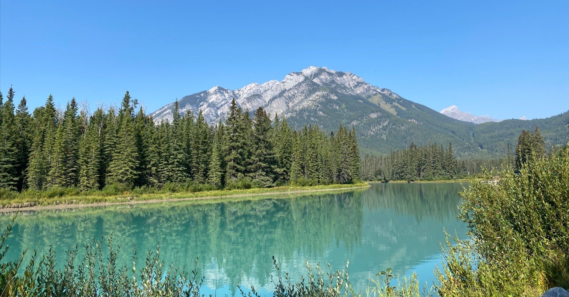 4615a46c69f7c99d53d0dc1bc1b584