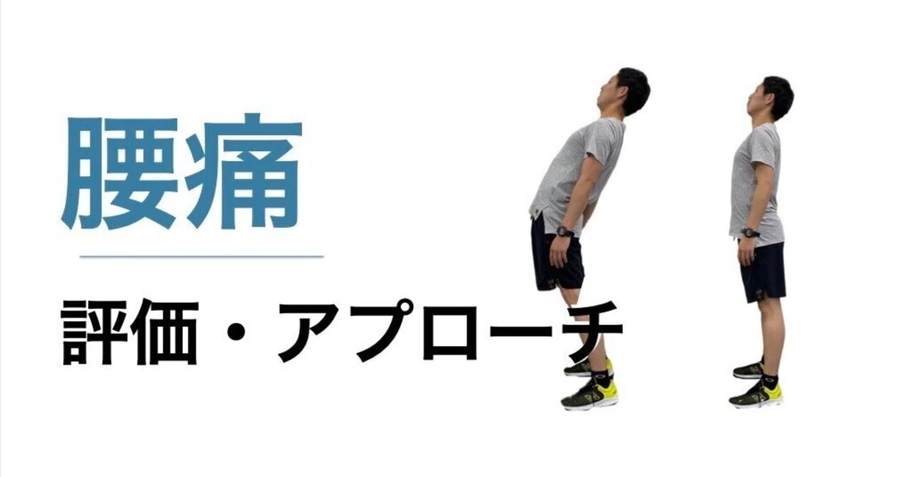 腰痛の評価・アプローチ｜平 純一朗｜理学療法士×アスレティック