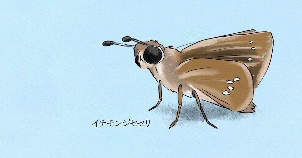 生まれて飛び出て100km移動｜イチモンジセセリ｜くますけ｜自然