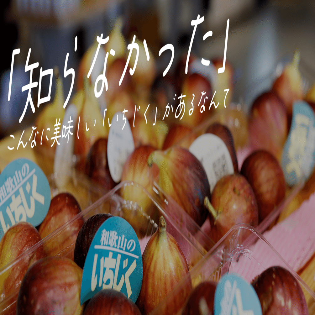 めぐっち！和歌山県紀の川市で育った　イチジク　味は最高に美味しい‼️ 秋の実り、いちじくのほのかな甘み。和歌山・紀の川市産いちじくを使っ