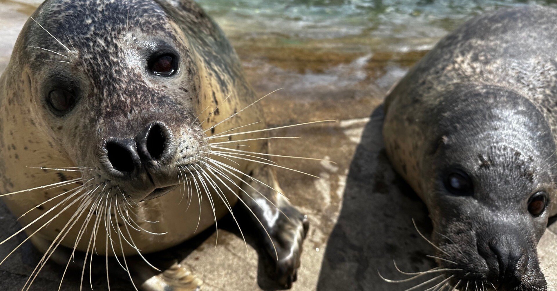 10d57c1b7f8708400d50f28b4bfe12