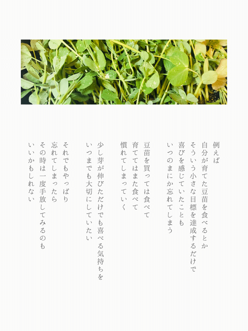 初めて食べた時の感動を 星野 カナタ Note 初めて食べた時の感動を 星野 カナタ Note