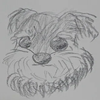 髭犬