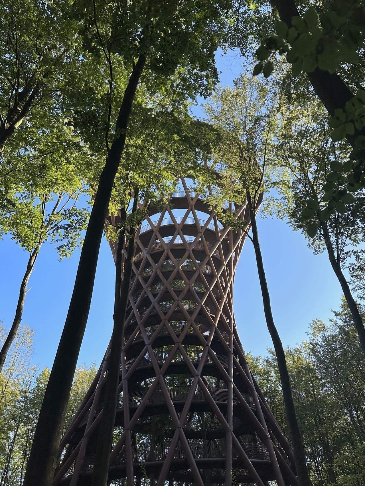 北欧旅行記 [ デンマーク ]360度自然に囲まれた絶景フォレストタワー