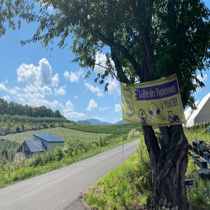 La Fête des Vignerons à YOICHI 2023 （農園開放祭@余市ラフェト