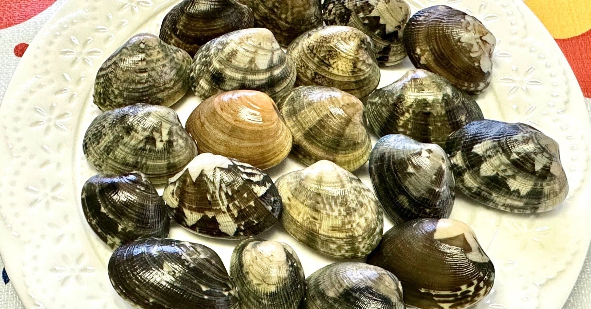 あさりの重量測定｜あさりの魅力研究家/朝理多サリア