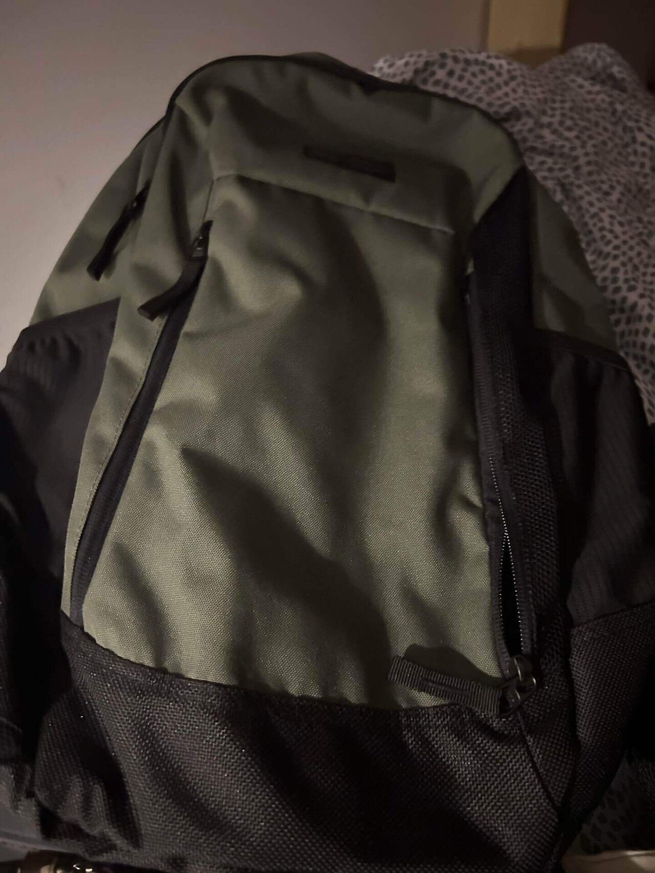 旅行難易度】ポーランド｜レジュメ