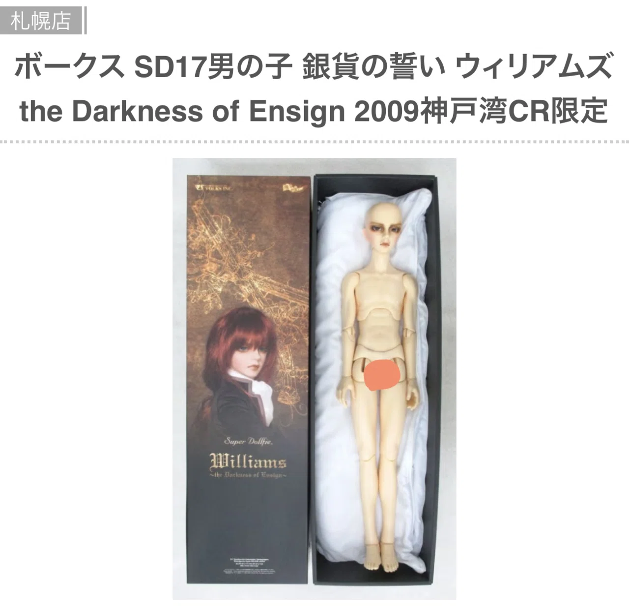 SD13 ワンオフウィリアムズヘッド a SDGr男の子 ウィリアムズ Williams 