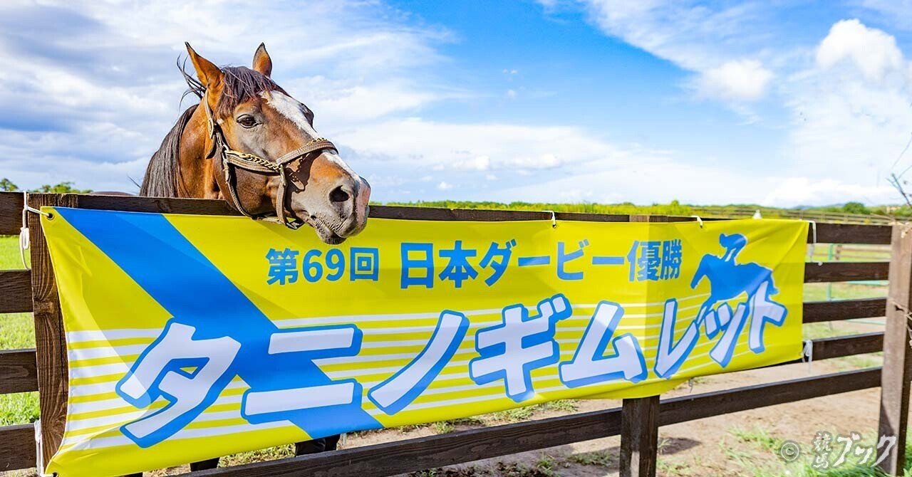 会いに行ける時に会いに行く／書き撮る＃1｜競馬ブック