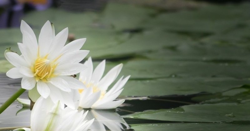 上をめざせ は 英語でなんという 三浦陽一 Note