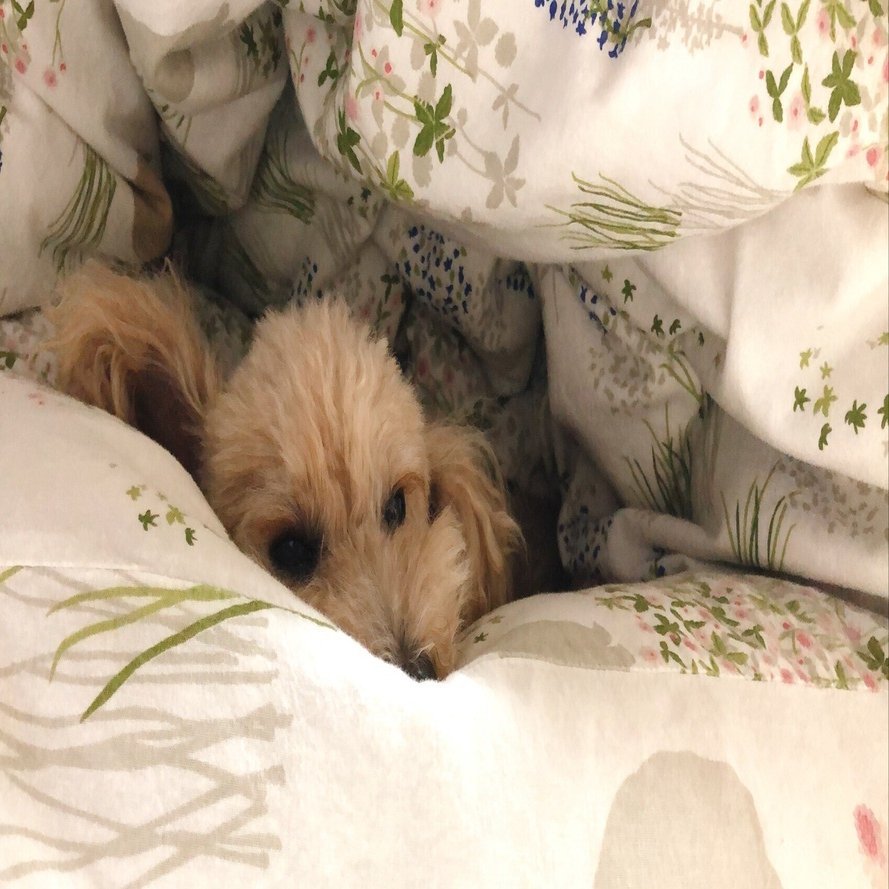 じぶん敷ふとん　オーダーメイド じぶん敷ふとん・マットレス/硬さの異なるウレタン素材であなただけの