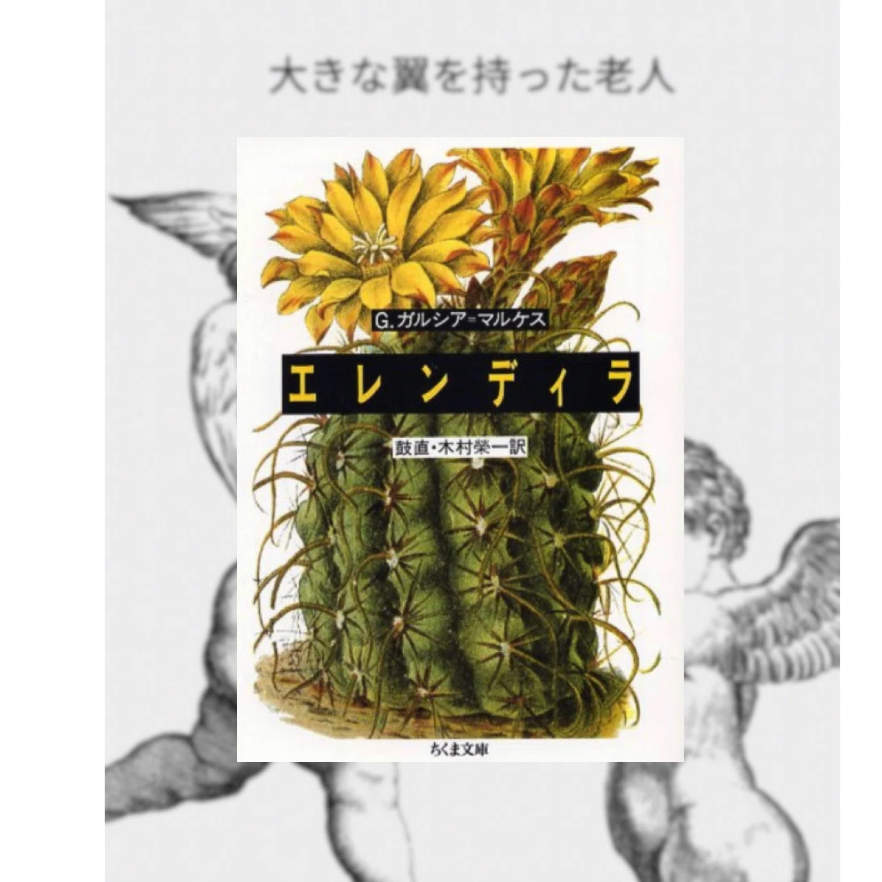 読書記録】 『大きな翼を持った老人』(『エレンディラ』より)｜rpc