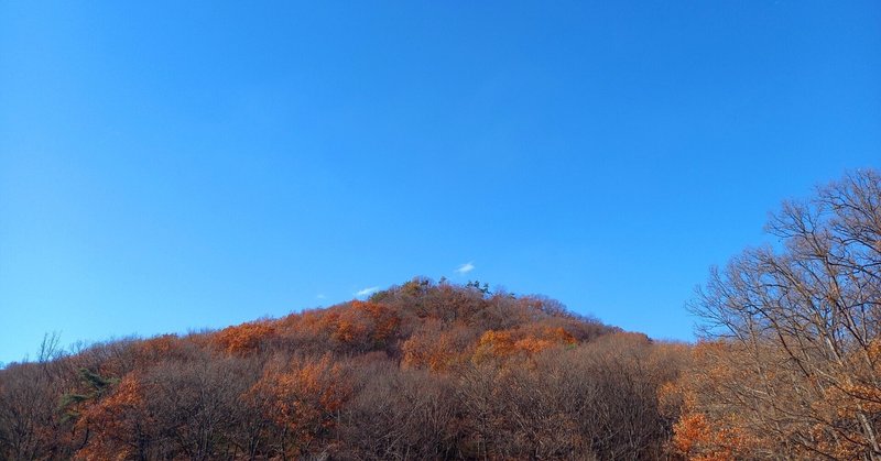 今日はここ数年の自分を振り返っておくと…未来に向けて良い効能がありそうですよ？【おうし座♉オンリー占い】9月10日(日)