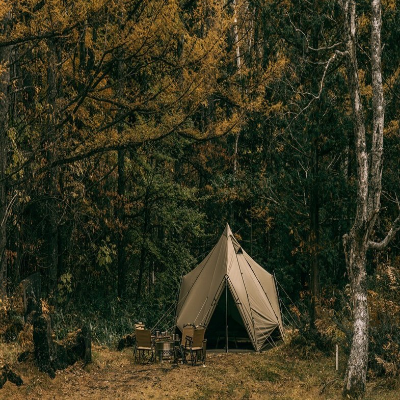 ゼインアーツ ゼクーM PS-003 旧仕様 ゼインアーツ ゼクーM PS-003 旧仕様