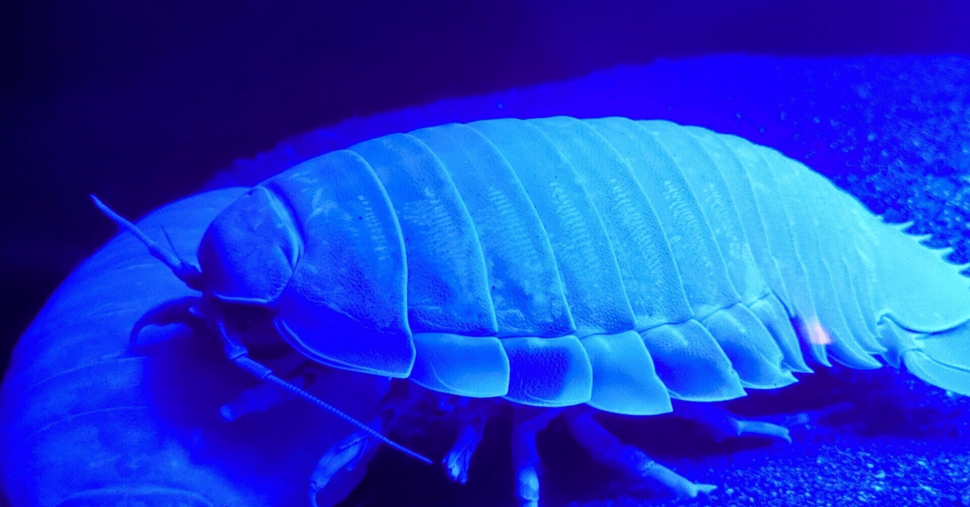 1740f3350cf30a7a6dac883924a623