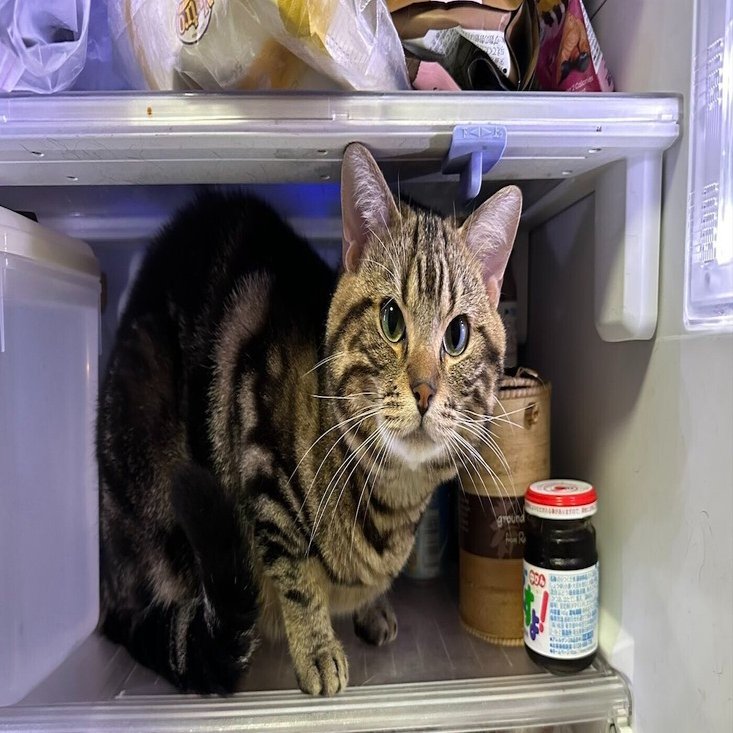 ねこ✨冷蔵庫 ET1915番⭐️355L⭐️AQUAノンフロン冷凍冷蔵庫⭐️