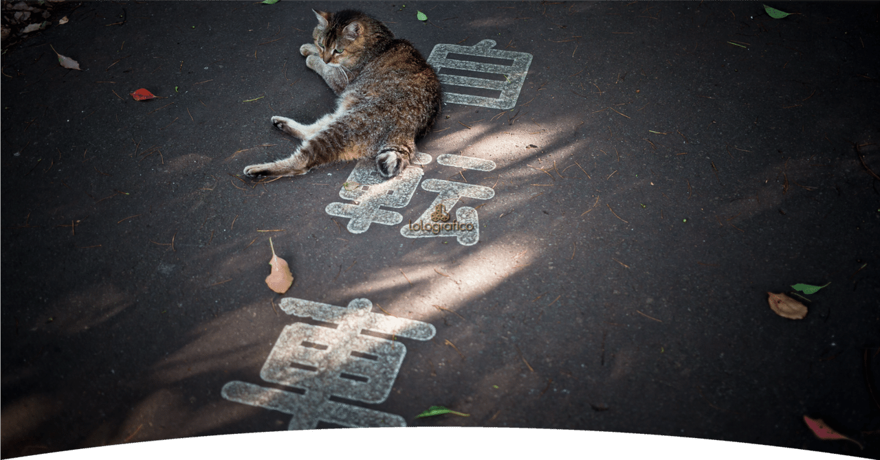 チ ャ リ ン コ 禁 止 。｜ろろ