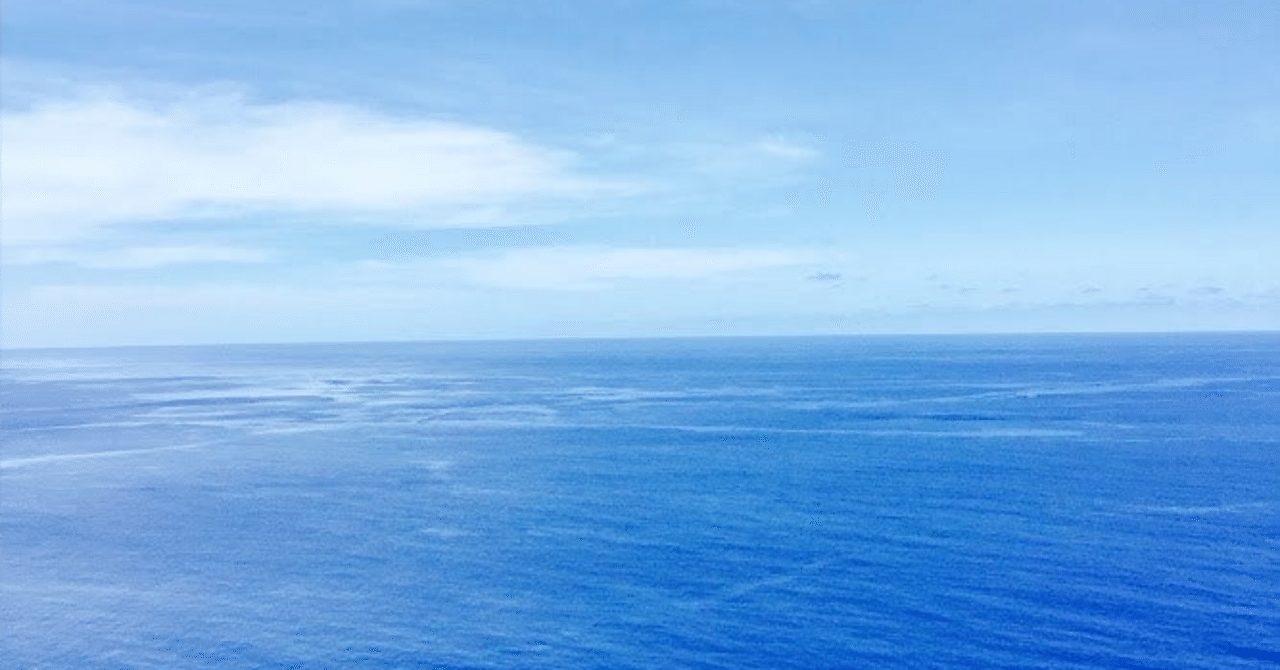 愚者は本当に愚かか?|さんど