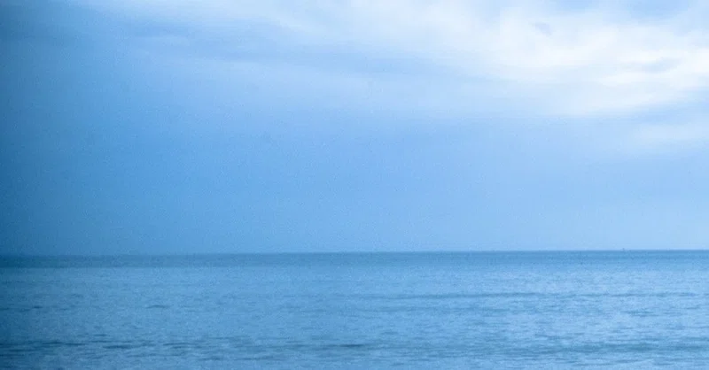 自分を愛する程度にしか他人を愛せない を考えてみた キャリコンもっち Note