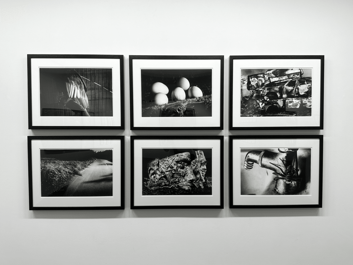 猪瀬辰男リトグラフ24点 限5-20 署名入 1980年 銅版画・石版画 外箱付 猪瀬辰男リトグラフ24点 限5-20 署名入 1980年 銅版画・石版画