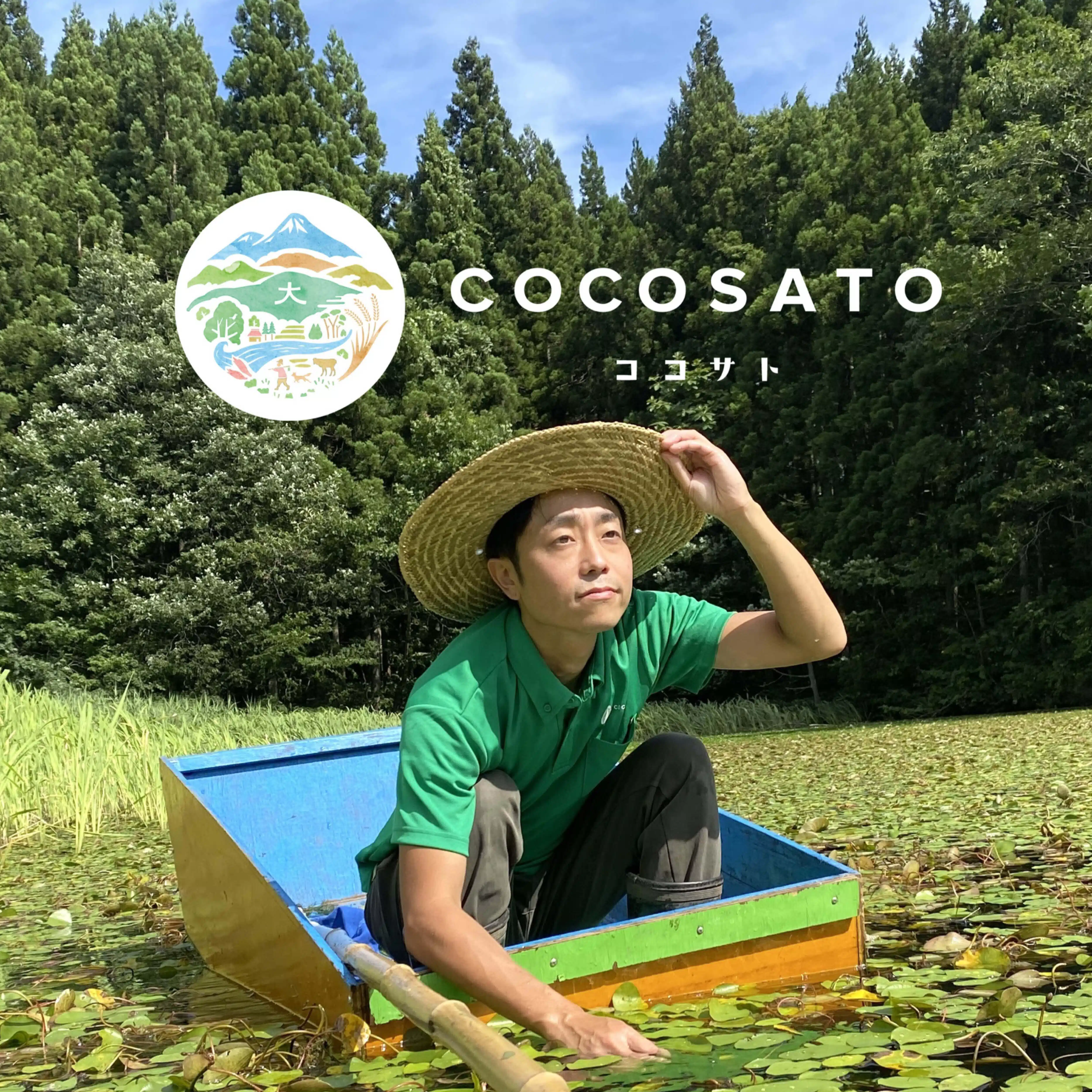 阿部 彩人（COCOSATO）