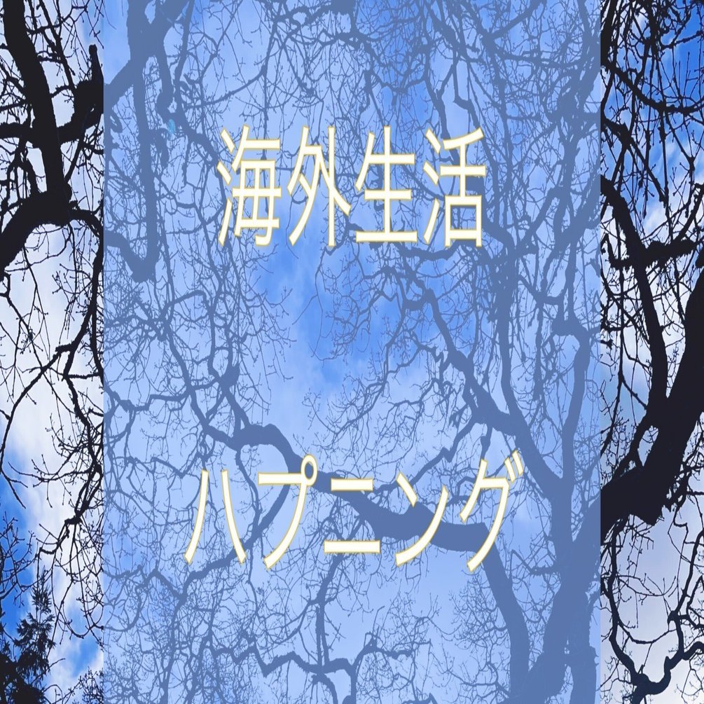 海外生活ハプニング紹介Part①関西からカナダまでの移動編｜Marbela