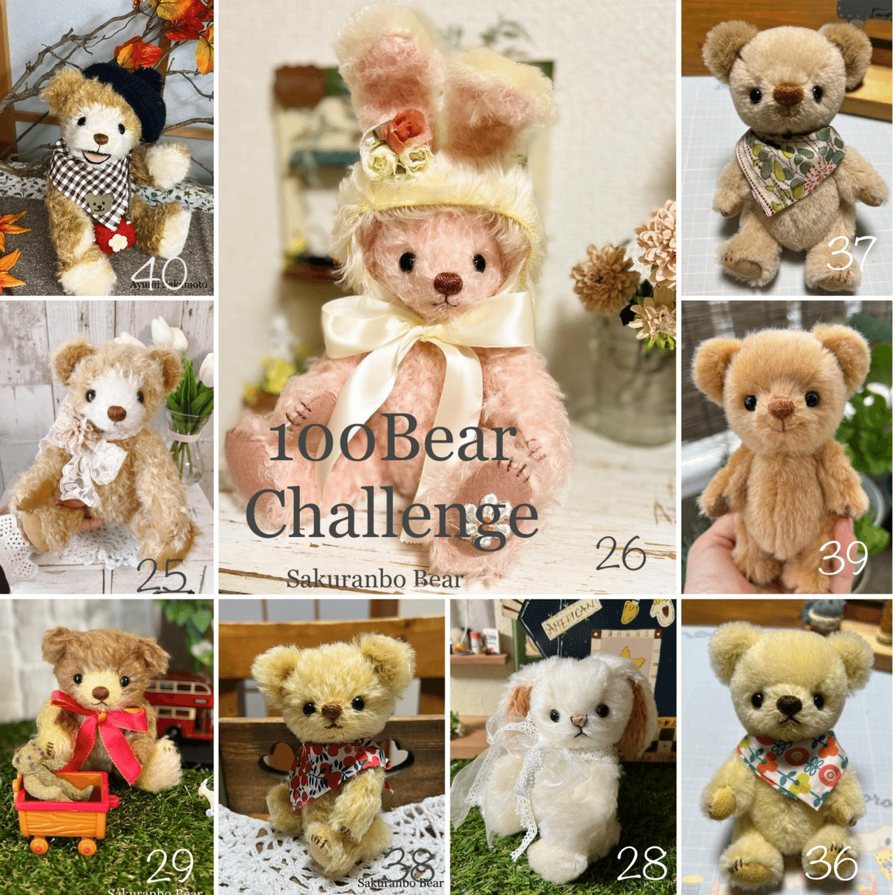 100体のテディベアを作るチャレンジ｜坂元あゆ実｜テディベア作家