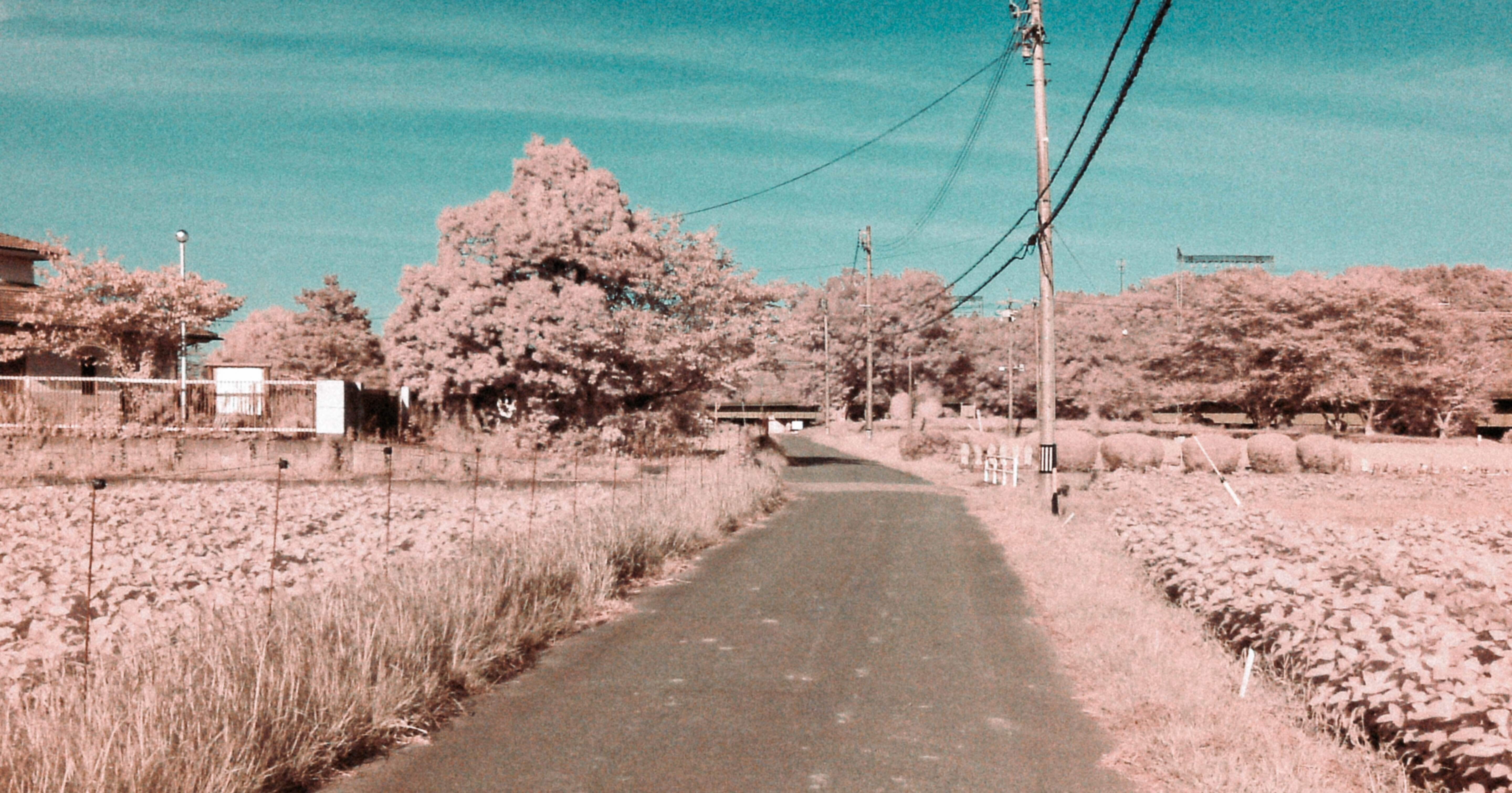 赤外線カメラ YASHICA EZ Digital F537IR｜正刀