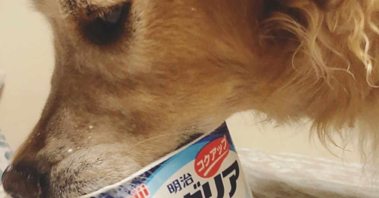 犬ごはん の定番タグ記事一覧 Note つくる つながる とどける