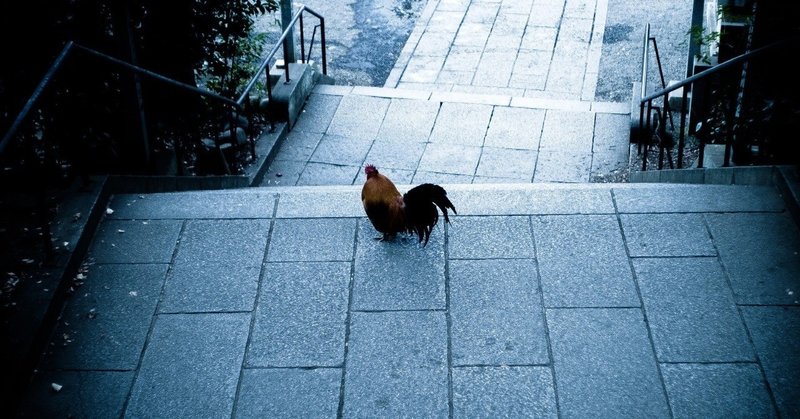 渋谷暴走母子死亡事件 の新着タグ記事一覧 Note つくる つながる とどける