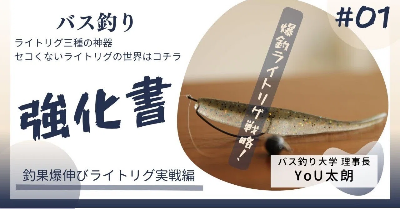 ノウハウ】ライトリグ三種の神器！釣果を爆上げする運用法徹底解説 