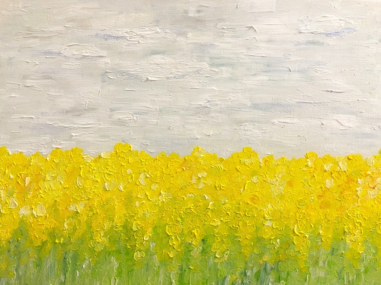 菜の花畑 Yumi Note 菜の花畑 Yumi Note