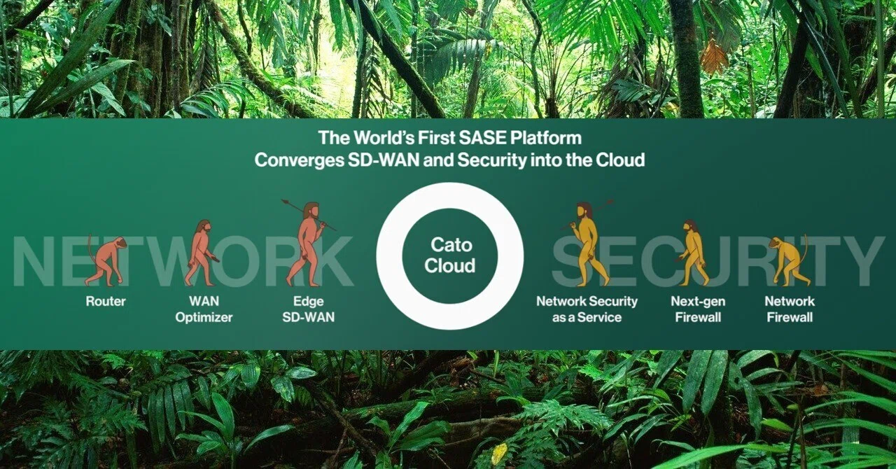 D Fuva Cato Cloud ブログを再開します|Cato Cloud - Fuva Brain