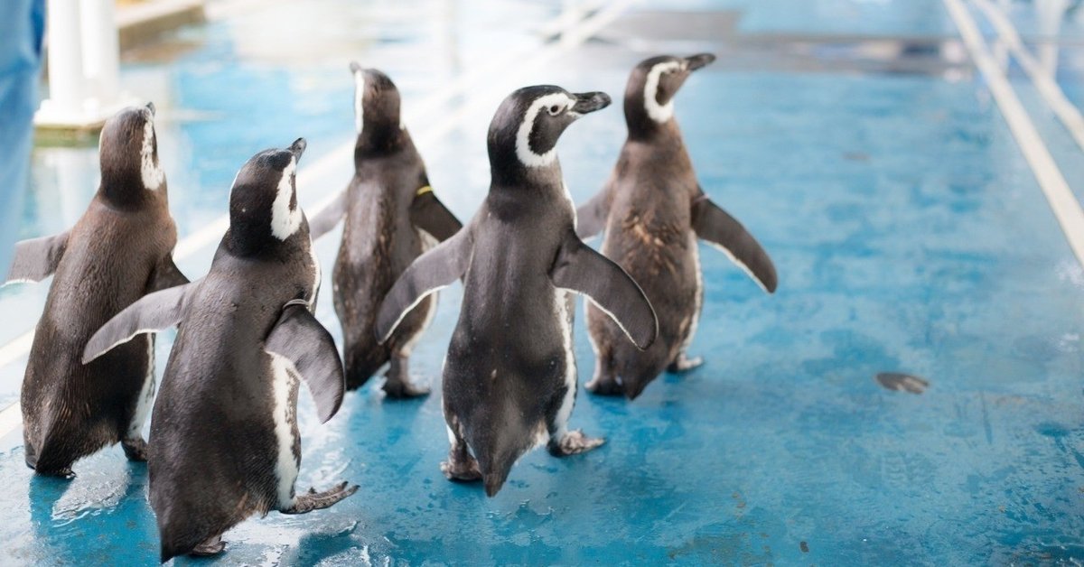 面白い生物学の写真