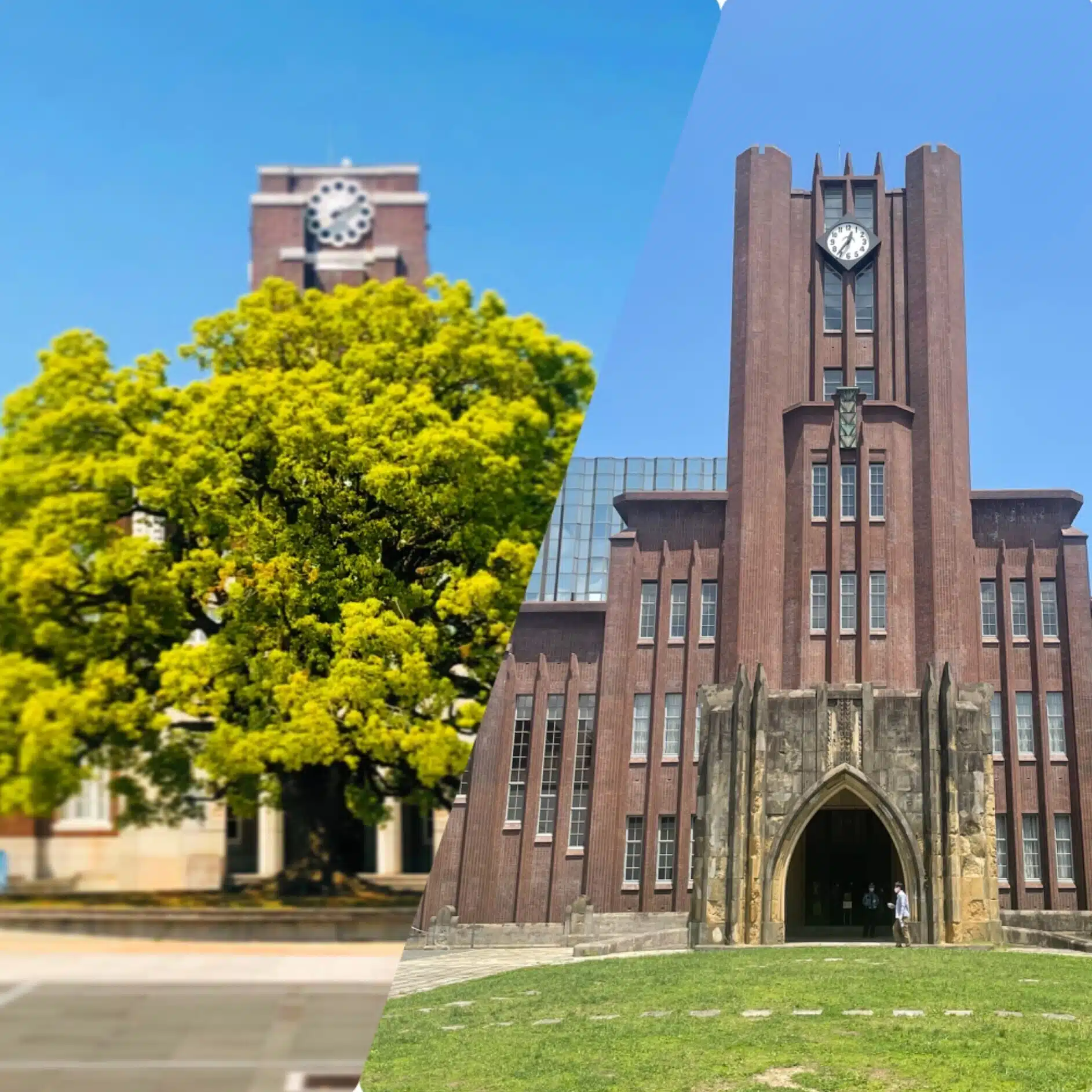 東大京大ナビ