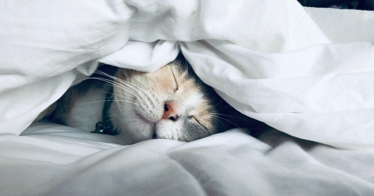 なぜ、睡眠時間が短いと肥満になりやすいのか?|はがくん@独学を応援