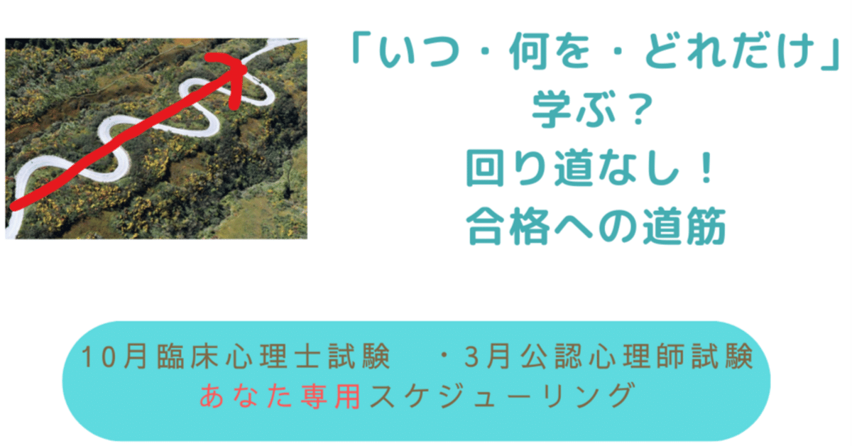 臨床心理士資格試験必勝対策講座教材 （臨床心理士資格試験対策