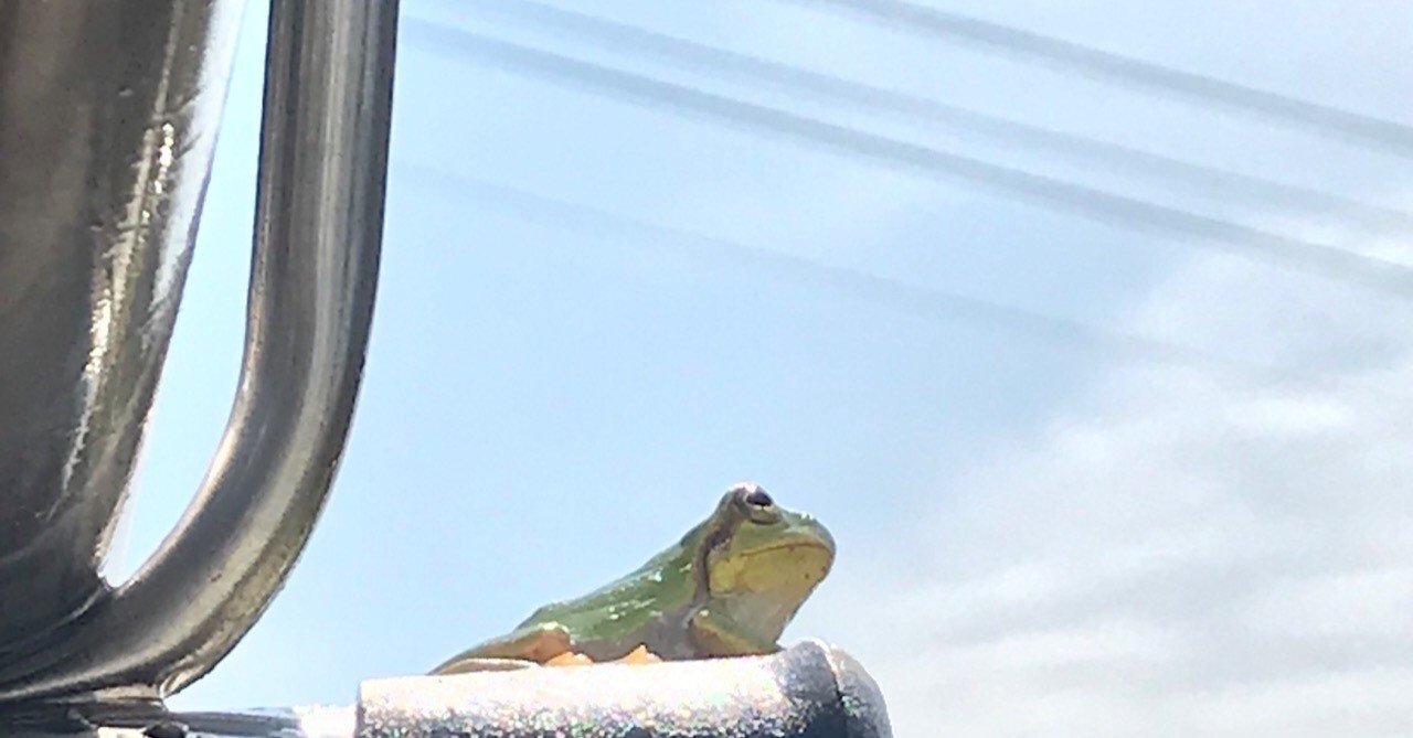 かえるの気持ち ある会社員風 空 Note