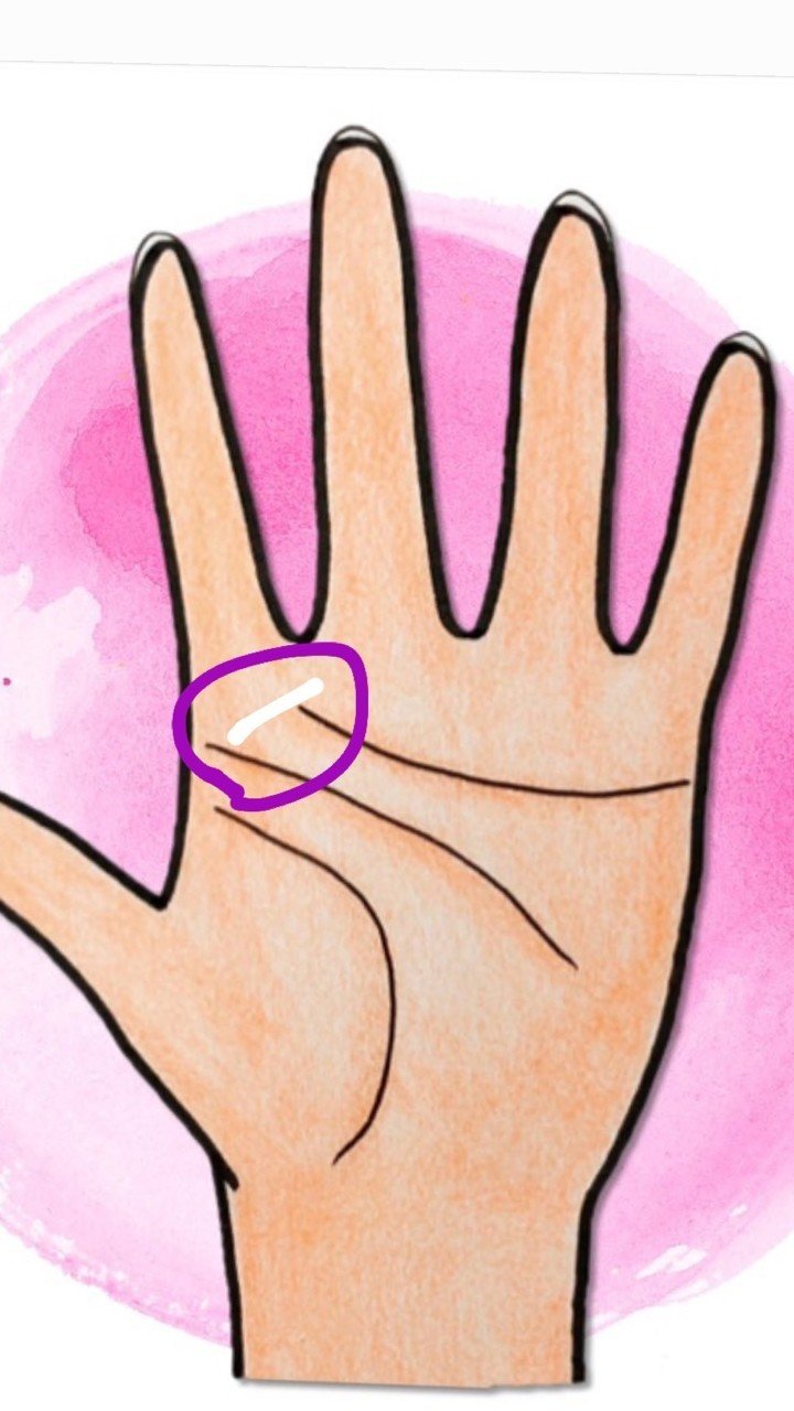 ちょっとした手相講座 向上心と野心の丘 曹操丘 についてと代表的な線 Koma Takafumi Note