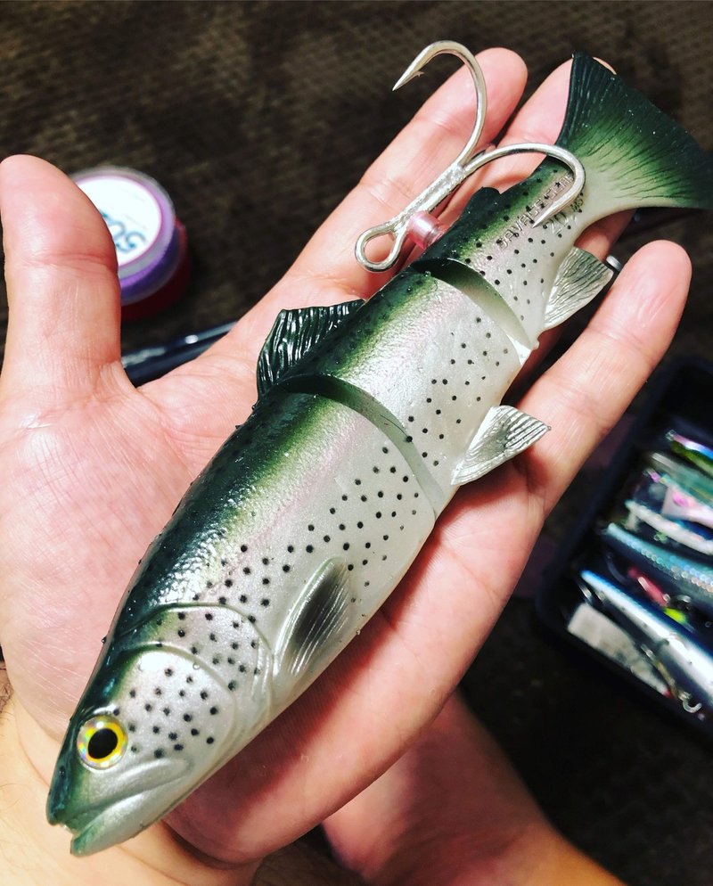 アカメへの挑戦 高知県浦戸湾 Nori Anglers Note アカメへの挑戦 高知県浦戸湾 Nori Anglers Note
