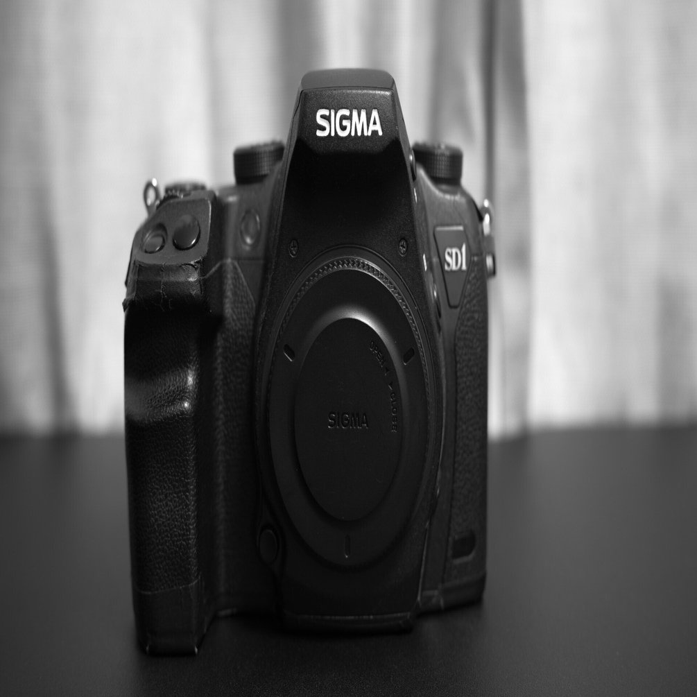 SIGMA SD1 merrill 純正18-200レンズ フラッシュ セット シグマ SD1 Merrill 18-200mm F3.5-6.3 II DC OS HSM キットで撮影され