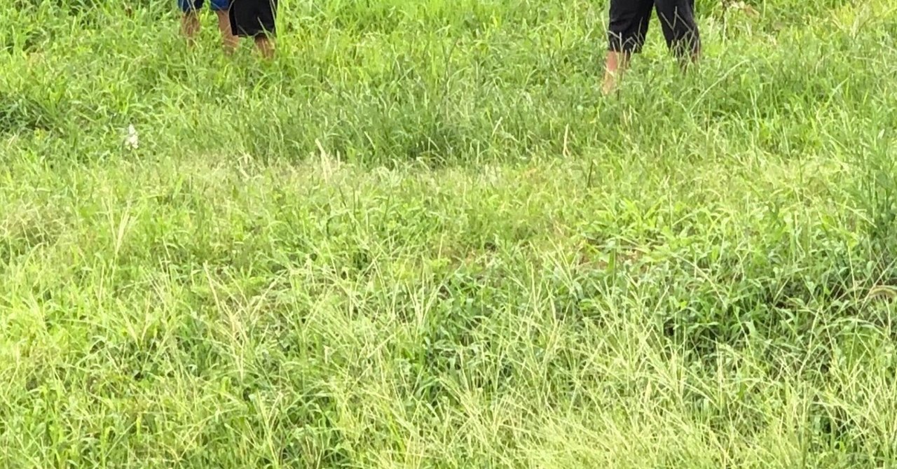 子守唄｜noriaki.i