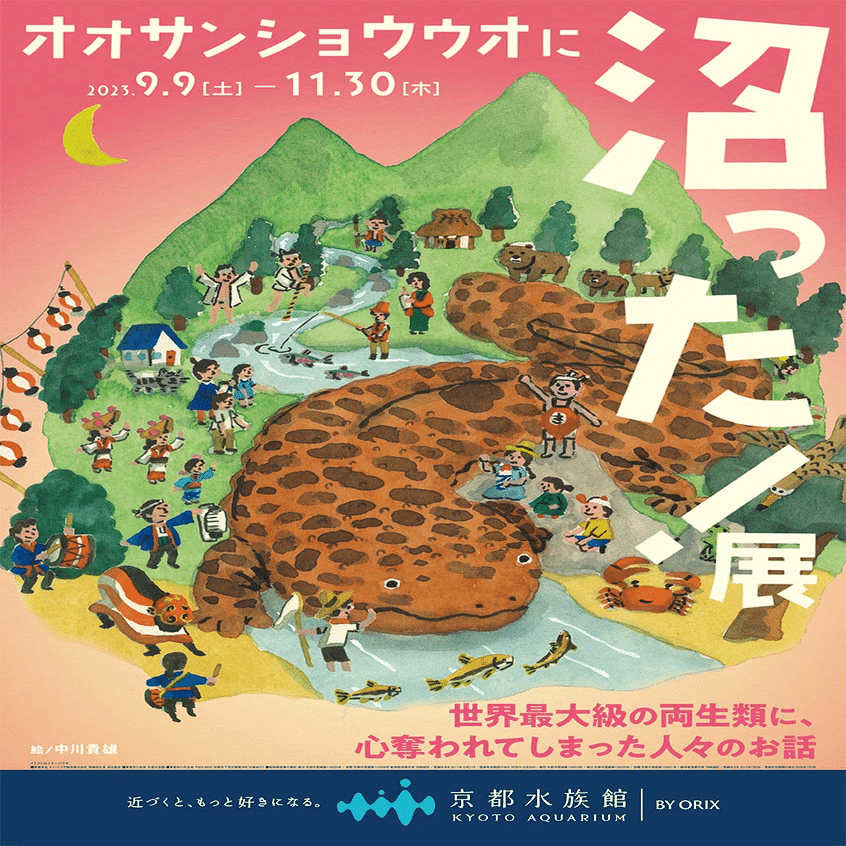 オオサンショウウオに沼った展！」京都水族館｜中川 貴雄